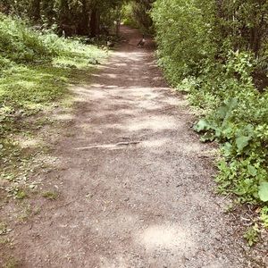 Meet your Posher, Janice